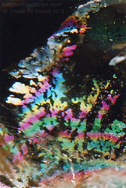 DVDs - Image 4