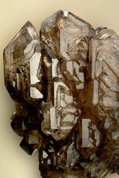 White Center Point Elestial Smoky Quartz Crystal - Image 2