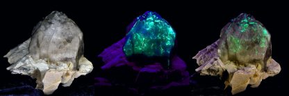 Colorado's Magnificent Fluorescent Quartz Point - Image 8