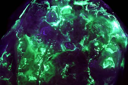 Colorado's Magnificent Fluorescent Quartz Point - Image 7