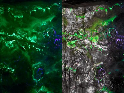 Colorado's Magnificent Fluorescent Quartz Point - Image 4