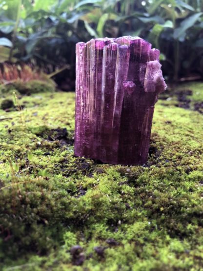 "Passion Fruit" Tourmaline Crystal - Image 3