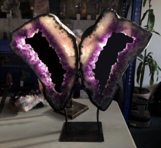 Amethyst Butterfly Wings