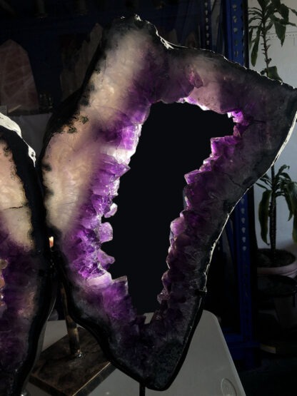 Amethyst Butterfly Wings - Image 2
