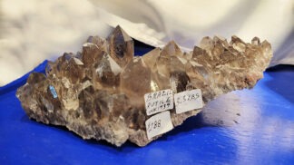 Inventory # WK1737 Brazil Smoky Quartz & Rutile Cluster