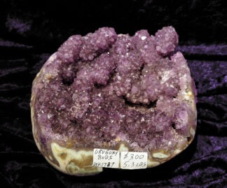 Inventory # WK1787	Uruguay Amethyst Cluster with Stalactite Buds
